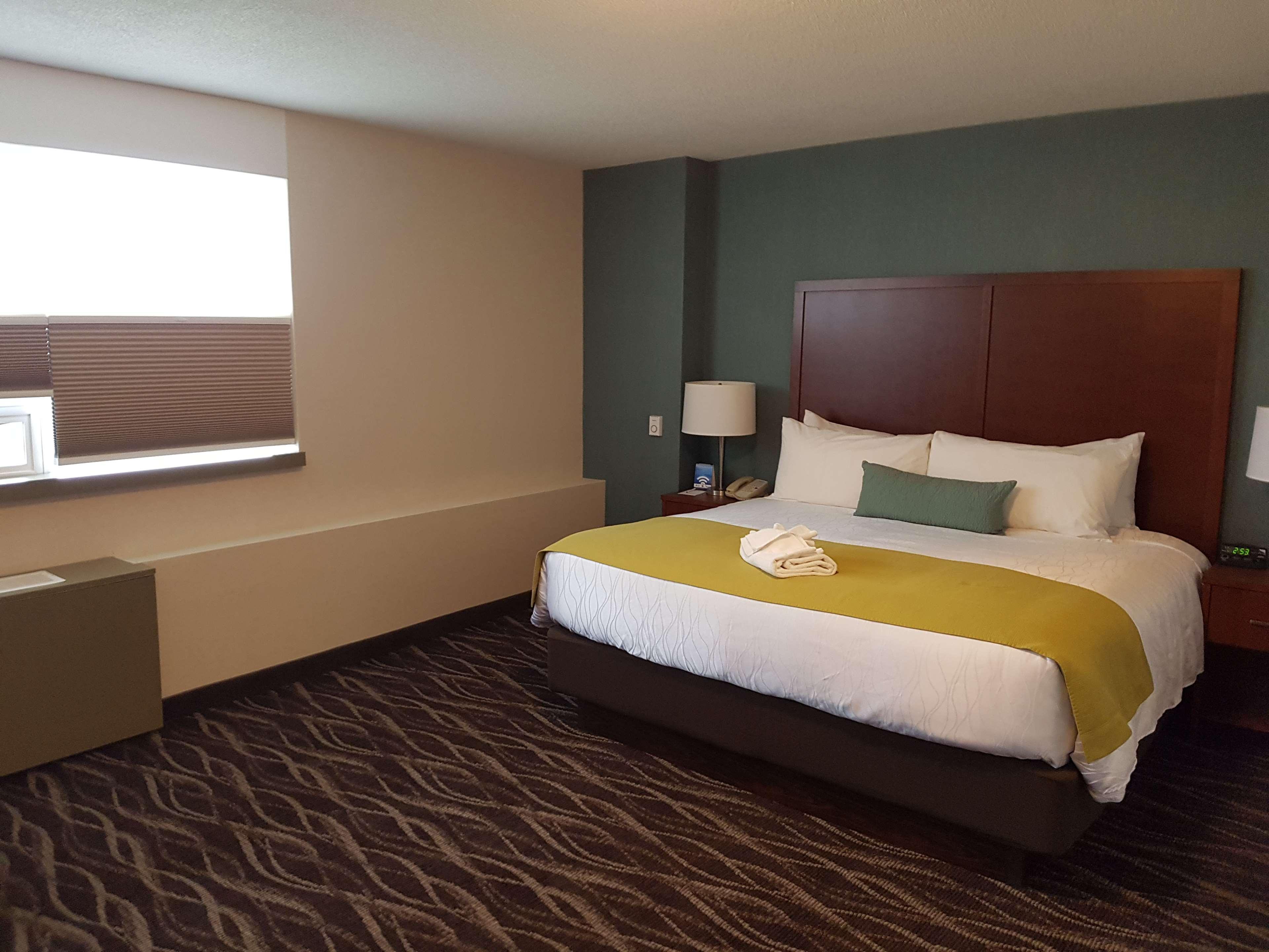Best Western Plus Durham Hotel & Conference Centre Oshawa Exterior foto